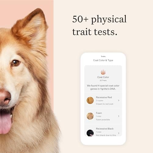 Wisdom Panel Premium Dog DNA Kit: Most Comprehensive with 265+ Health Tests, Identify 365+ Dog Breeds, 50+ Traits, Relatives, Ancestry, Genetic Diversity - Pack of 1