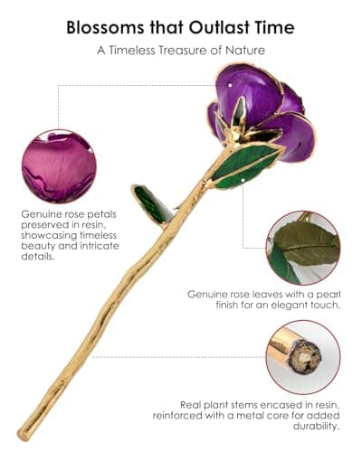 Handpicked real rose dipped in 24K gold; a one-of-a-kind keepsake for women on Valentine’s Day, Mother’s Day & anniversaries 24K Gold Dipped Real Rose, Forever Flower, Purple B0F93N2SKX