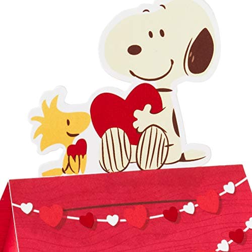 Hallmark Paper Wonder Peanuts Pop Up Valentines Day Card (Snoopy and Woodstock)