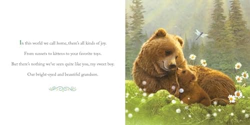 Why We Need Grandsons: Celebrate Your Special Grandson Grandparent Bond with This Heartwarming Picture Book! (Always in My Heart)