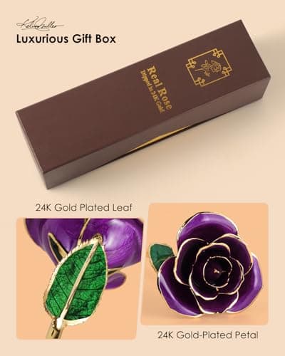 Handpicked real rose dipped in 24K gold; a one-of-a-kind keepsake for women on Valentine’s Day, Mother’s Day & anniversaries 24K Gold Dipped Real Rose, Forever Flower, Purple B0F93N2SKX