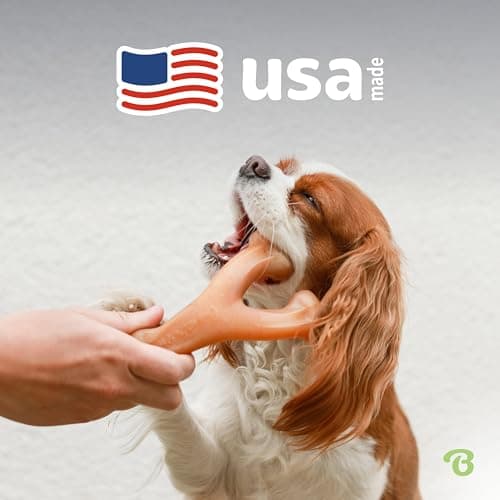 Durable, Super Chewer, Made in USA, Dog Bones, Long-Lasting, A Size for Every Dog, Keeps Them Busy Benebone Wishbone Dog Chew Toy for Aggressive Chewers, Real Bacon, Medium B00CPDWT2M