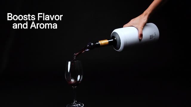 Wine Chiller Set - Perfect Wine Gifts for Women & Men - Stainless Steel Insulated Wine Cooler with Wine Pump, Aerator & 4 Stoppers (Silver)