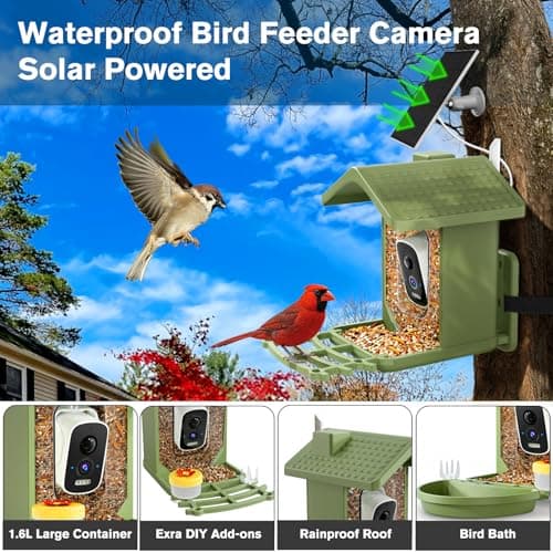 Smart Bird Feeder with Camera Solar Powered, AI Birds Species Identification, 2.5K HD Video Bird House with Camera for Outside, Weatherproof Design Ideal Gifts for Christmas, Bird Lovers, Green