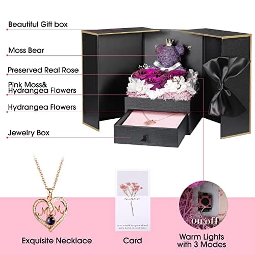 ADDWel Meaningful Gifts for Mom from Daughter Son, Preserved Purple Rose Gift Box with MOM Necklace, I Love You Necklace in 100 Languages, Mother’s Day Birthday Gifts for Mom B0BZ7SWYTH