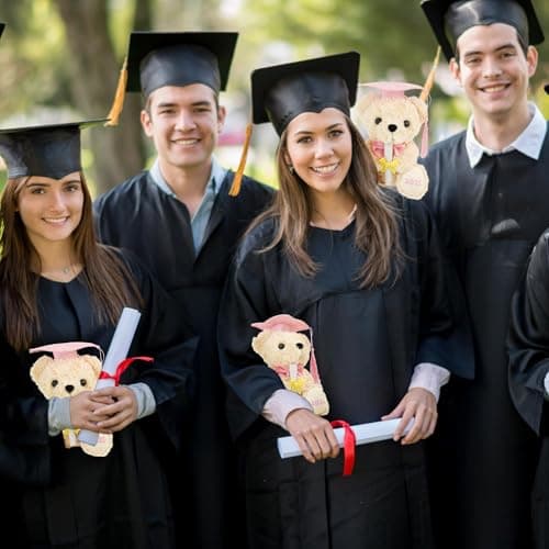 Class of 2025 Graduation Bear - Kindergarten Graduation Gift for Girls,Stuffed Plush Teddy Bear with Cap & Diploma, High School Graduation Gifts for Her, Grad Bear Gift 2025-8 Inch| You DID it (Pink)