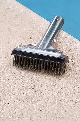 Poolmaster 20178 5-Inch Aluminum-Back Swimming Pool Algae Brush with Stainless Steel Bristles, Classic Collection