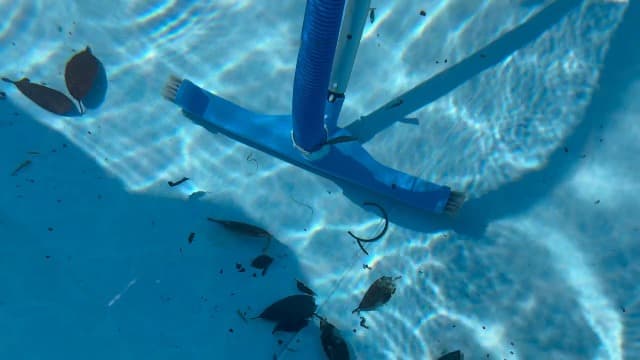 (2026 Upgraded) 20" 2 in 1 Pool Brush Vacuum Head with Swivel Hose Connection & Sturdy Nylon Bristles for Heavy Duty Inground & Above- Ground Pool Cleaning - Connecting 1-1/4" or 1-1/2" Hose (No Pole)