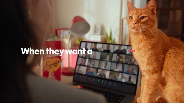 Delectables Squeeze Up Catnip Variety Pack, Creamy Squeezable Puree, Lickable Wet Cat Treats, Grain Free, No Added Fillers, No By-Products, No Added Preservatives, 0.5 Ounces Tube, 20 Tubes Total