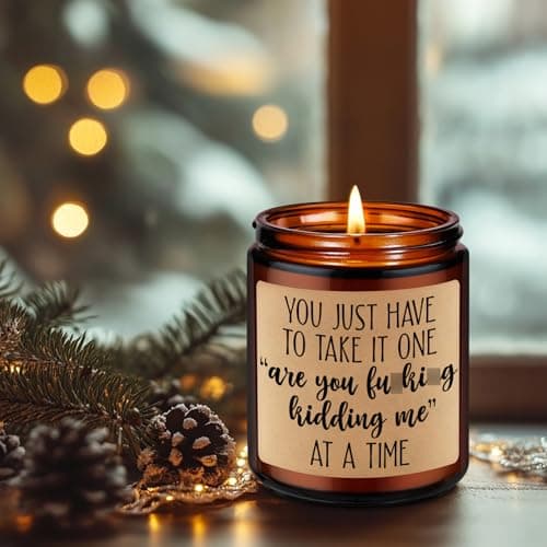 Christmas, Funny Birthday Gifts for Coworkers, Best Friend, Employee, Boss, Female, Male, Woman, Cool Sarcastic Work Ideas LEADO Candles, Boss Lady, Coworker Gifts for Women, Men - Bosses Day Gifts B08SPYC6RX