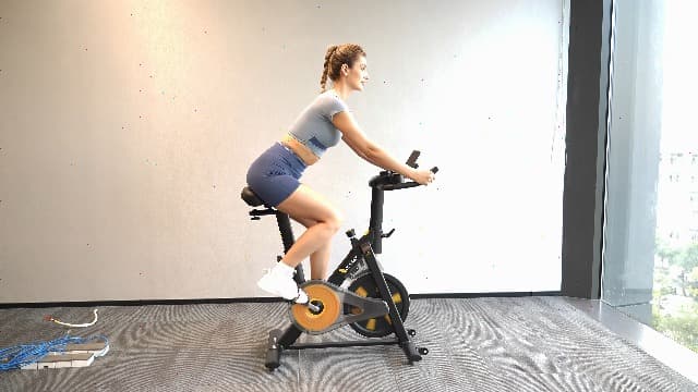 OWLSKY Exercise Bike with APP, Magnetic Resistance Indoor Cycling Bike, 300 lbs Capacity Quiet Stationary Bike for Home Gym Cardio Workout