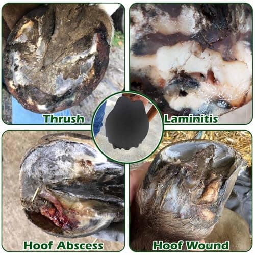 EPICHORIZON 12 Pack Horse Hoof Tape Cotton Strong Sticky Horse Hoof Wraps Simple, Breathable Hoof Packing for Hoof Wound Management and Laminitis Abscess Relief Additional Protection for Horse Hoove