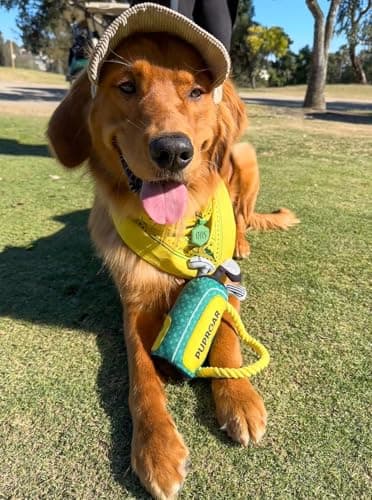 PUPROAR Golf Dog Toy, Dog Birthday Gift, Funny Squeaky Plush Rope Golf Bag Toy for Small, Medium & Large Breeds B0D9PDDT2D
