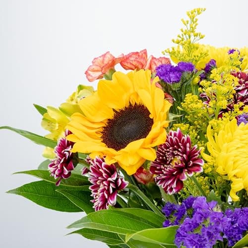 Benchmark Bouquets - Flowering Fields (Glass Vase Included) - Fresh Flowers for Delivery - Gift for Birthday, Anniversary, Sympathy, Get Well, Congratulations, Thanksgiving, Christmas