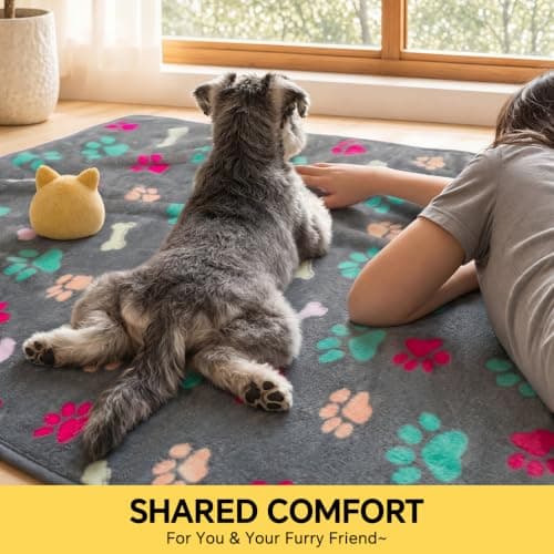 Luciphia 1 Pack 3 Blankets Fluffy Premium Fleece Pet Blanket Flannel Paw Printed Throw for Dog Cat(Small 23x16'', Grey/Brown/Blue) B09PFN1KR8