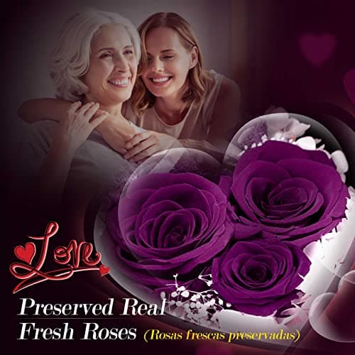 ADDWel Meaningful Gifts for Mom from Daughter Son, Preserved Purple Rose Gift Box with MOM Necklace, I Love You Necklace in 100 Languages, Mother’s Day Birthday Gifts for Mom B0BZ7SWYTH
