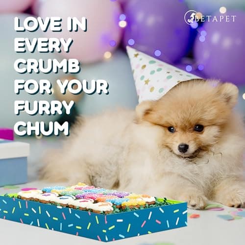 Dog Birthday Cookies - Treats for Dogs at Any Age - Made With Human-Grade Ingredients - Happy Bday Cookies for Boy or Girl Puppy - First Bday Gift - Baked Fresh in USA