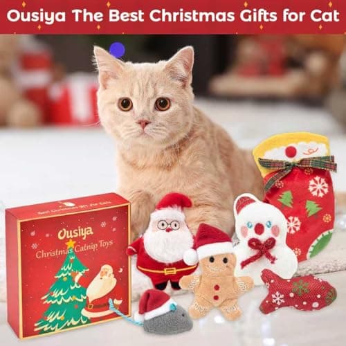 6 PCS Christmas Catnip Toys with Gift Box, Cat Toys Set for Christmas, Interactive Cat Chew Toy for Indoor Cats Kittens Kitty
