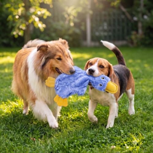 Stuffing Free Body, Soft, Squeaks & Crinkles, No Mess, Perfect for Moderate Chewers, Toss and Fetch Play Best Pet Supplies Interactive Squeaky Dog Toy - Crinkle Duck, Blue B09BBL8T4Z