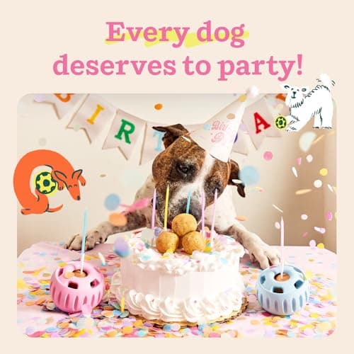 WOOF Pupsicle Birthday Pops - Healthy Dog Treats - Pre-Made Pupsicle Refills - Wholesome Ingredients - Naturally Sweet - Cake-Flavored Birthday Treat for Dogs - XL