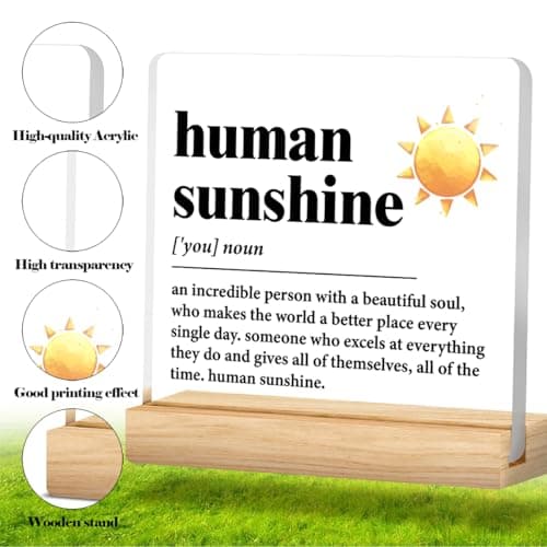 Human Sunshine Motivational Gift for Women Men, Employee Appreciation, Coworker Leader Teacher Coach Mentor, Definition Acrylic Desk Sign Decor