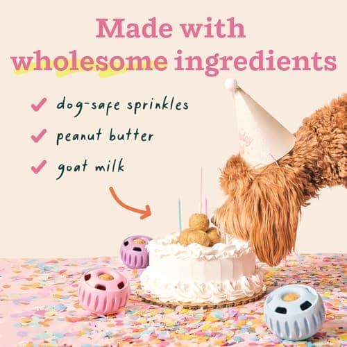 WOOF Pupsicle Birthday Pops - Healthy Dog Treats - Pre-Made Pupsicle Refills - Wholesome Ingredients - Naturally Sweet - Cake-Flavored Birthday Treat for Dogs - XL