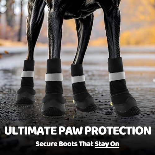 Hcpet Dog Shoes, Dog Boots & Paw Protectors for Winter Snowy Days, Rainy Weather, Outdoor Anti-Slip Sole Dog Booties for Hardwood Floor Black-Leg 1