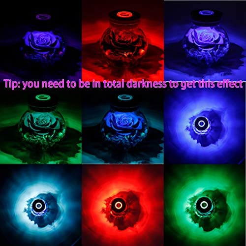 Preserved Real Roses with Colorful Mood Light Wishing Bottle, Eternal Rose,Never Withered Flowers, Table Decor,Christmas Anniversary Valentine's, Blue 4.3inch, 1pcs B07DT2GBT2