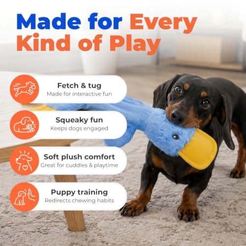 Stuffing Free Body, Soft, Squeaks & Crinkles, No Mess, Perfect for Moderate Chewers, Toss and Fetch Play Best Pet Supplies Interactive Squeaky Dog Toy - Crinkle Duck, Blue B09BBL8T4Z