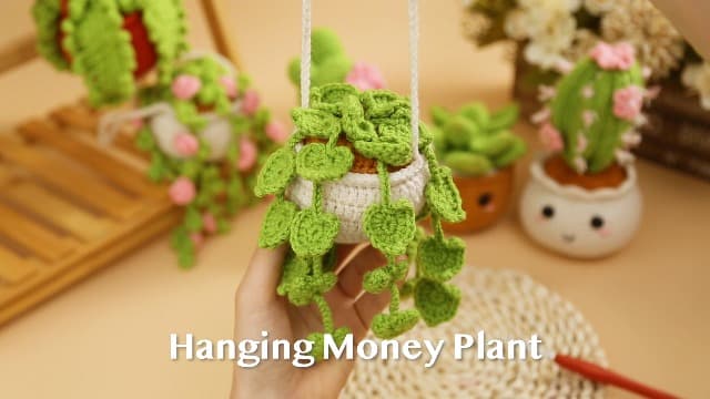 MAGIMUSE Crochet Kit for Beginners, Crochet Starter Kits, Amigurumi Craft Knitting Crocheting Kits with Step-by-Step Video Tutorials, 6 Pack Hanging Potted Plants Family(40%+ Yarn