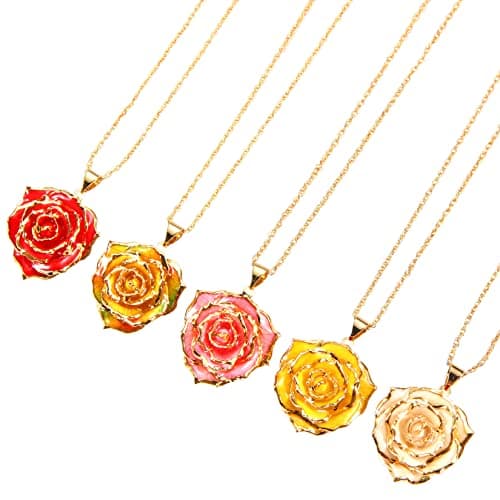 AliveRose Real Rose Gold Dipped Necklace Gifts for Women, 24K Gold Dipped Rose Pendant Necklace Jewelry Mothers Day Anniversaries Birthday Christmas Special Occasions Gifts for Her Mom Wife