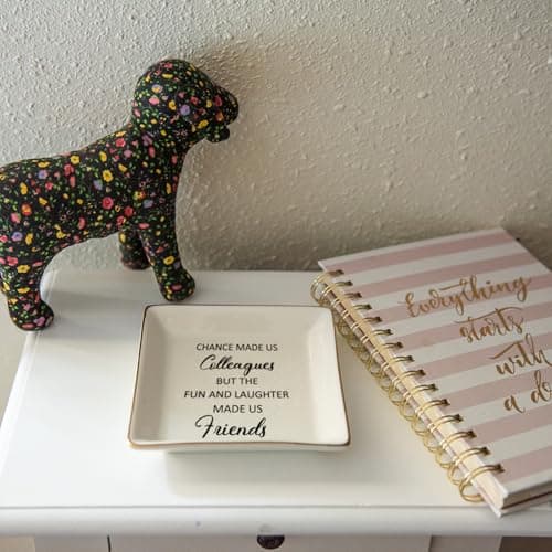 HOME SMILE Colleague to Friend Gifts for Women Jewelry Tray- Retirement Leaving Farewell Appreciation Birthday Christmas-Chance Made Us Colleagues,But The Fun and Laughter We Share Made Us Friends B08DLMDMYG