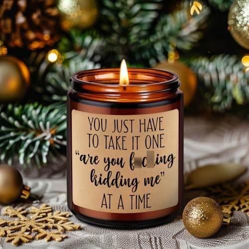 Christmas, Funny Birthday Gifts for Coworkers, Best Friend, Employee, Boss, Female, Male, Woman, Cool Sarcastic Work Ideas LEADO Candles, Boss Lady, Coworker Gifts for Women, Men - Bosses Day Gifts B08SPYC6RX
