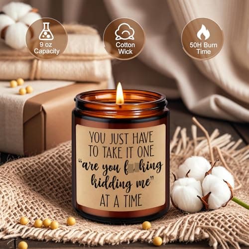 Christmas, Funny Birthday Gifts for Coworkers, Best Friend, Employee, Boss, Female, Male, Woman, Cool Sarcastic Work Ideas LEADO Candles, Boss Lady, Coworker Gifts for Women, Men - Bosses Day Gifts B08SPYC6RX