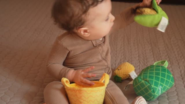 Color Sorting Play Food with Textures, Crinkle, Rattle, 6-12 Month Baby Toys 1 Year Old Boy Gifts One Year Old Girl Birthday hahaland Baby Sensory Toys Montessori Toys 1 Year Old Fruit Vegetable 16PCs B0DMVXR942