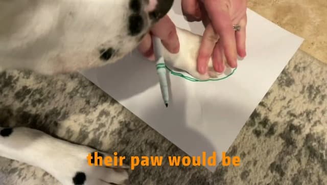 Hcpet Dog Shoes, Dog Boots & Paw Protectors for Winter Snowy Days, Rainy Weather, Outdoor Anti-Slip Sole Dog Booties for Hardwood Floor Black-Leg 1