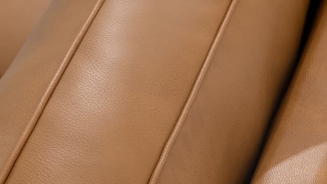 The support you need Classic 3-Seater Sofa with Premium Leather Upholstery, Stylish & Comfortable Sofa for Living Room or Office, Easy to Maintain & Long-Lasting Camel