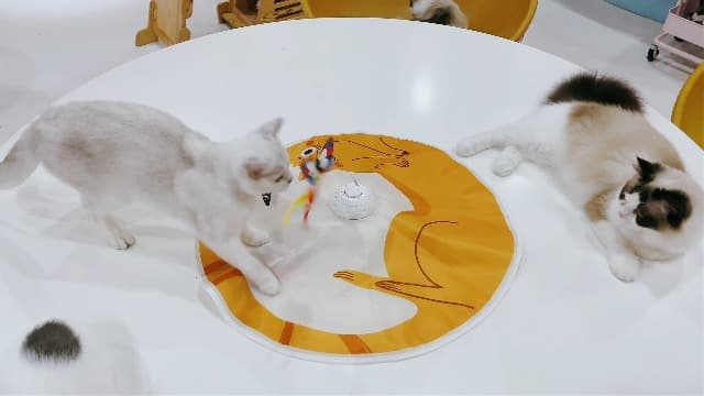 Potaroma Cat Toys Chargeable, 3in1 Hide and Seek, Automatic Interactive Fun, Fluttering Butterfly, Moving Feather, Kitten Wand, Indoor Kitty Exercise Kicker 22.8 Inch Cover for All Breeds