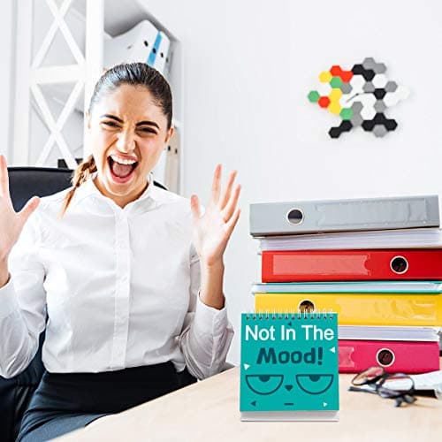 Fancy Land Funny Desk Signs 30 Different Fun and Flip-Over Messages for Office Desk Accessories