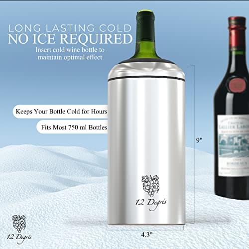 Wine Chiller Set - Perfect Wine Gifts for Women & Men - Stainless Steel Insulated Wine Cooler with Wine Pump, Aerator & 4 Stoppers (Silver)