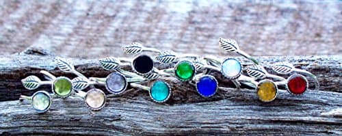 Swedish Dishcloths for Kitchen Dish Towels - 5 Pack, Non-Scratch Reusable Paper Towels, Super Absorbent Washable Swedish Dish Cloths, No Odor, Biodegradable, Fruit Design