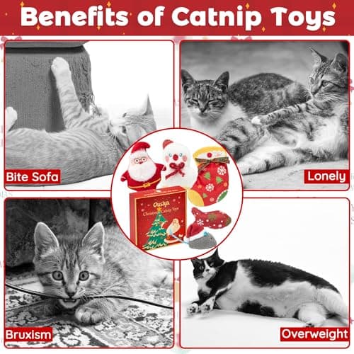 6 PCS Christmas Catnip Toys with Gift Box, Cat Toys Set for Christmas, Interactive Cat Chew Toy for Indoor Cats Kittens Kitty