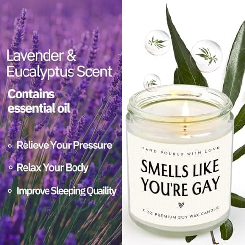 Smells like You’re Gay Candle, Gag Gifts for Friend Boyfriend Men, Funny Birthday Handmade Lavender Gay Candle Gifts 7oz SteadStyle Pride Mouth Gay Gifts, Pride Gifts for Brother Lesbian LGBT B0DR7VFTM4