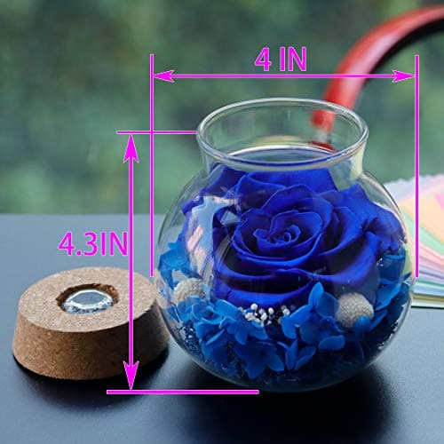 Preserved Real Roses with Colorful Mood Light Wishing Bottle, Eternal Rose,Never Withered Flowers, Table Decor,Christmas Anniversary Valentine's, Blue 4.3inch, 1pcs B07DT2GBT2