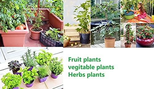 THE CREATOR The CREATOR - PLANTABLE Pens One pen reduces 6g of plastic added to the environment Go Green - Save Earth Give a gift that speaks to the Heart, Pack of (6), WILDLIFE Theme, Brown