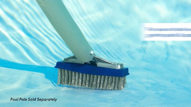 Poolmaster 20178 5-Inch Aluminum-Back Swimming Pool Algae Brush with Stainless Steel Bristles, Classic Collection