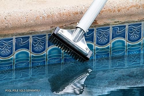 Poolmaster 20178 5-Inch Aluminum-Back Swimming Pool Algae Brush with Stainless Steel Bristles, Classic Collection