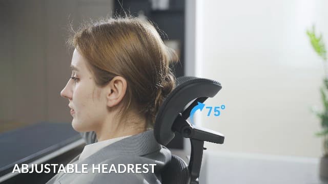 Freepub Ergonomic Office Chair with Headrest 3D, Mesh Office Desk Chair with Adjustable Lumbar Support, Computer Chair with Flip up Armrests, 350LBS Capacity - Design for Home/Offices - Black