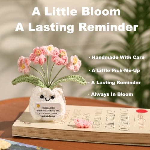 Christmas, Thank You & Encouragement Gifts for Women, Boss, Her, Friend, Sister & Bestie, Stocking Stuffers, 4.7 x 2.4 in Crochet Forget Me Not Flower Pot, Inspirational & Unique Gifts for Women B0GM8H2G47