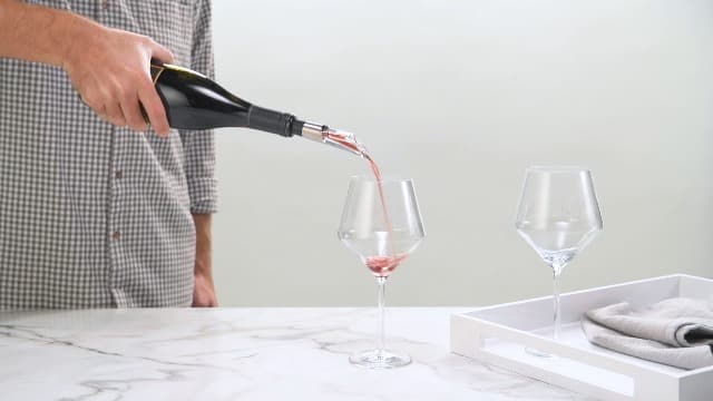 Rabbit W6127 Wine Aerator and Pourer, Clear and Stainless Steel Design, Easy to Use for Enhancing Wine Flavor and Smooth Pouring